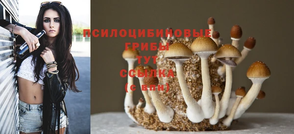 гашик Осинники