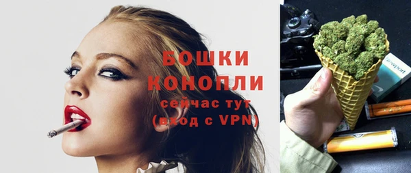твердый Кропоткин