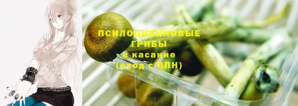 мет Нязепетровск