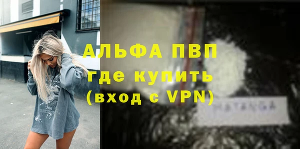 молекула духа Осташков