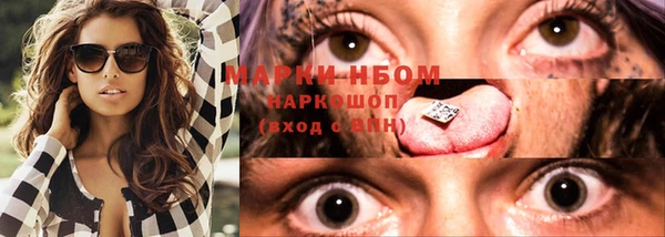 молекула духа Осташков