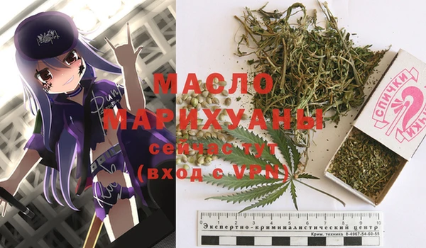 гашик Осинники