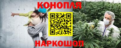 ПСИЛОЦИБИНОВЫЕ ГРИБЫ Камышлов