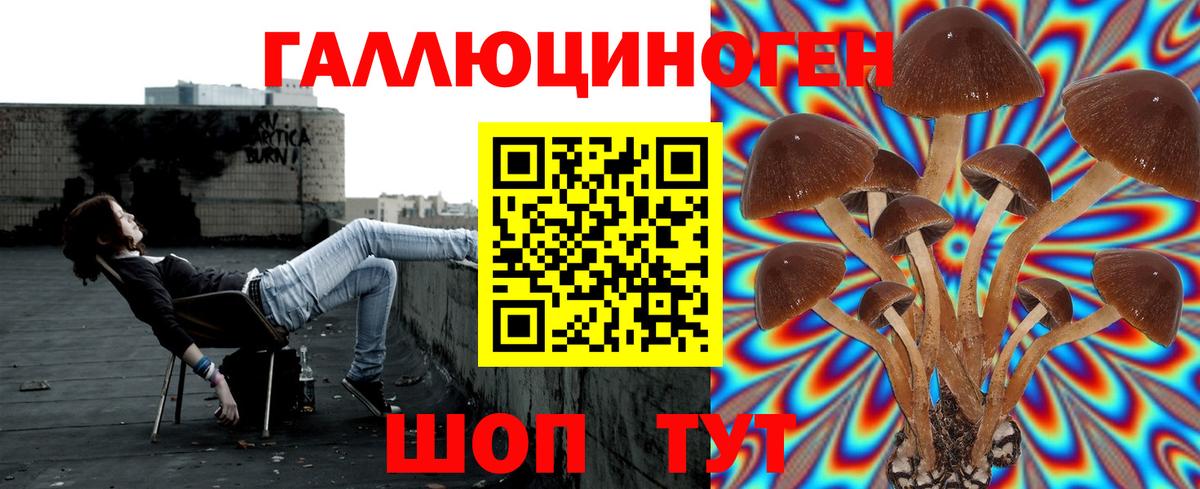 Псилоцибиновые грибы Magic Shrooms  Псилоцибиновые грибы MAGIC MUSHROOMS  Вход с VPN  Советск 